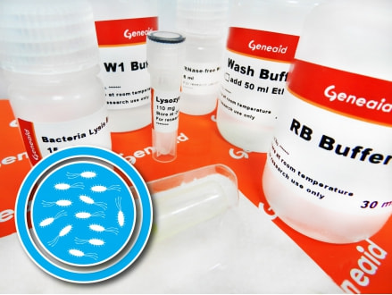 FroggaBio USA Inc - Presto Mini RNA Bacteria Kit